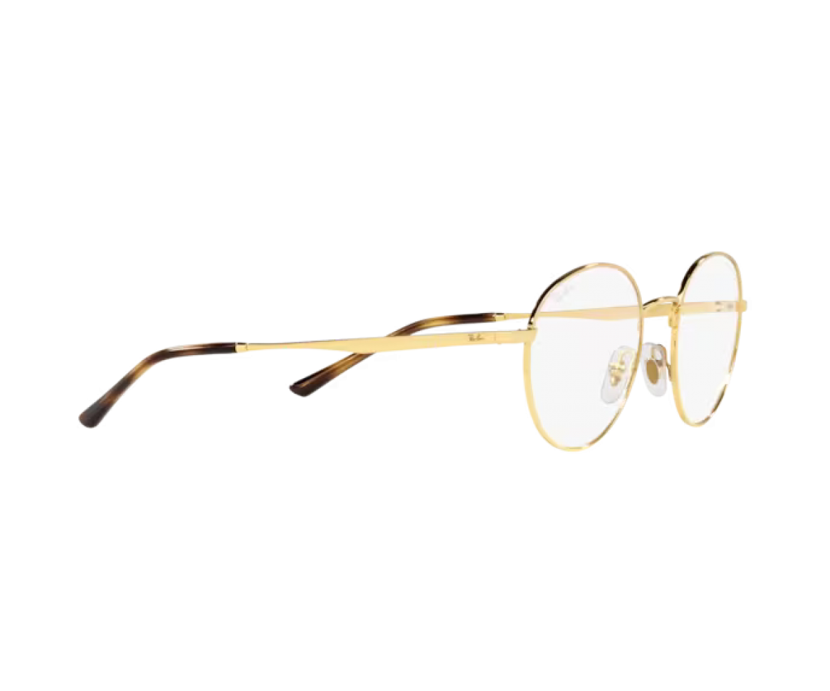 RAY BAN RB3681V/2500 50 RAY BAN RB3681V/2500 50